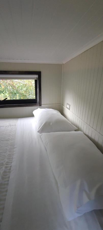 Cabanas Alto Bosque Pucón Exteriör bild